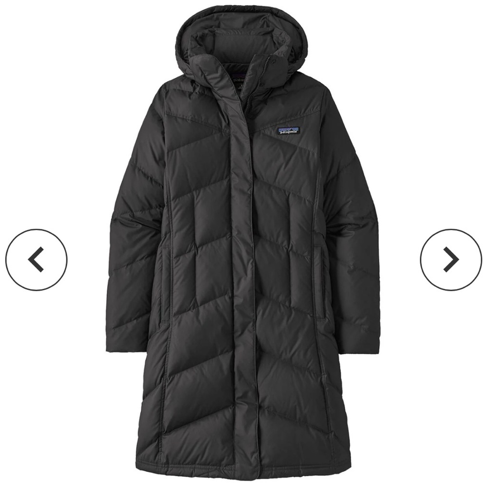 SOLD Patagonia Down With It Parka